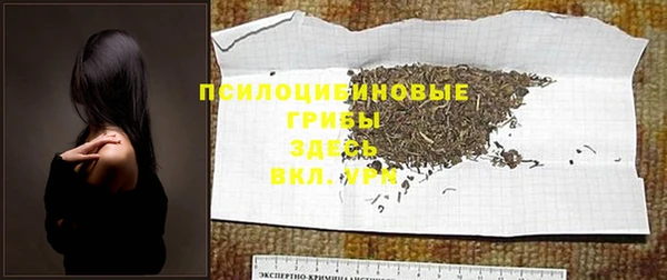 МДПВ Елабуга