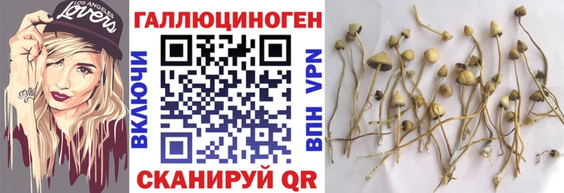 Псилоцибиновые грибы мухоморы  Купить где  Удомля 
